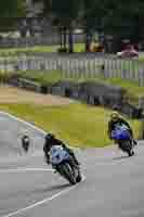 Evening Adv_Mid Group Silver_Grey Bikes